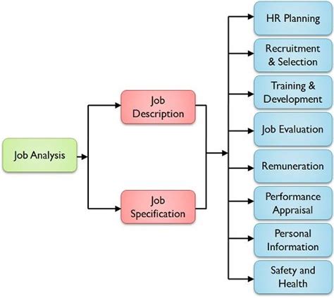 Policy Analysis Careers