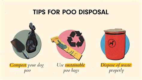 Poo Environmental Impact