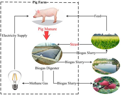 Poo Sustainable Agriculture