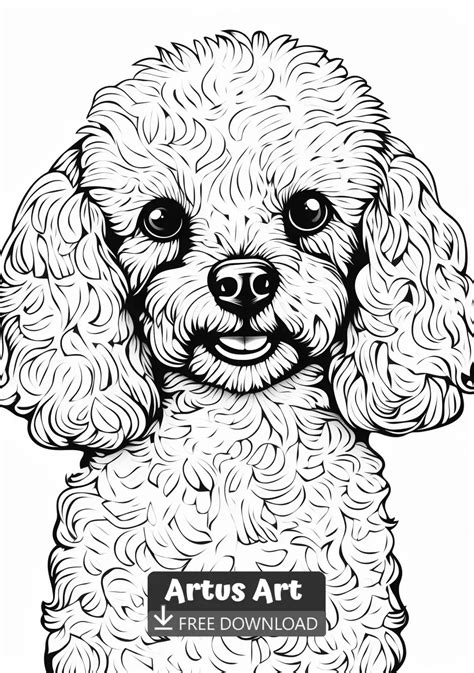 Poodle coloring page