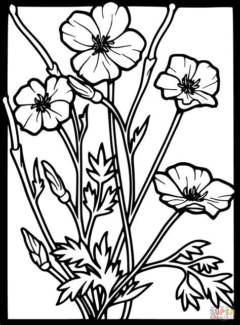 Poppy Flower Coloring Page