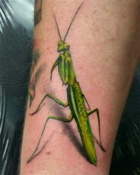 Popular Praying Mantis Tattoo Designs