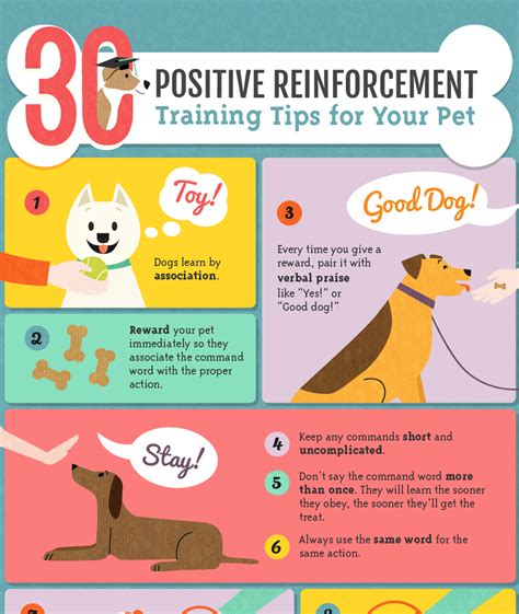 Positive Reinforcement in Military Dog Training