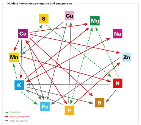 Potassium Interactions