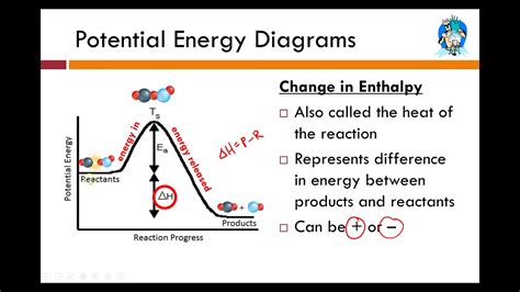 Potential Energy Diagram