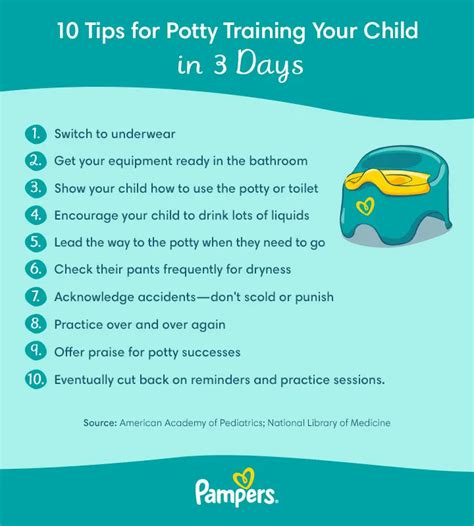 Potty Training Advice Image 8