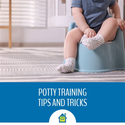 Potty Training Advices Image 5