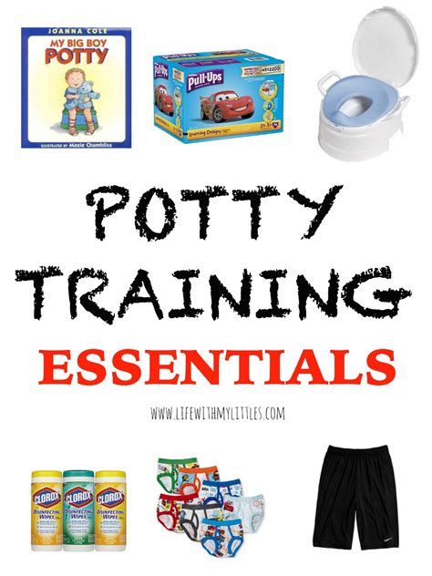 Description of potty training essentials