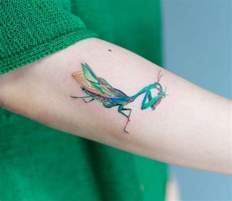 Praying Mantis Tattoo Colors