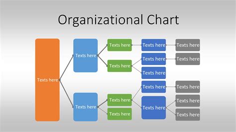 Project Organization