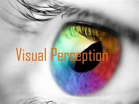 Psychology Visual Perception