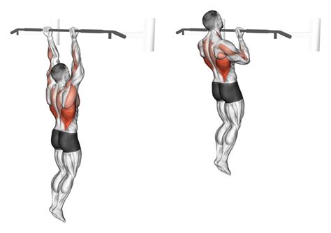 Pull-up Exercise