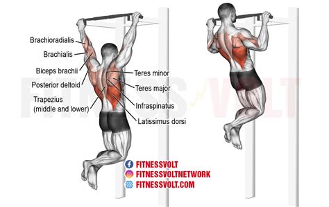 Pull-up Exercise