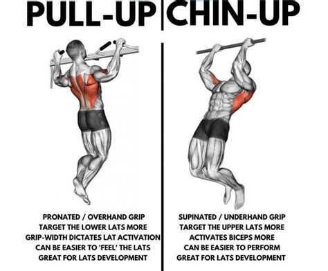 Pull-up Workout