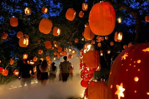 Pumpkin Farm Austin