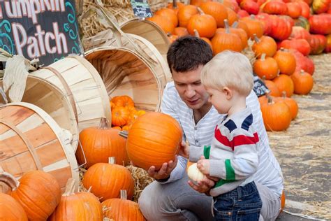 Pumpkin Patch Activities