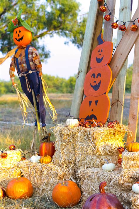 Pumpkin Patch Ideas