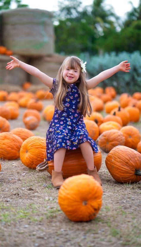 Pumpkin Patch Tips