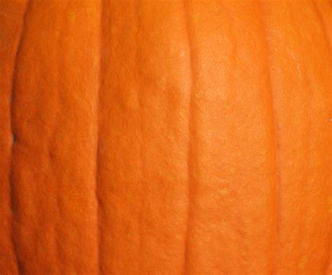 Pumpkin texture with detailed shapes and lines