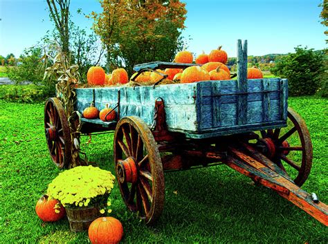 Pumpkin-filled wagon with a sunny sky