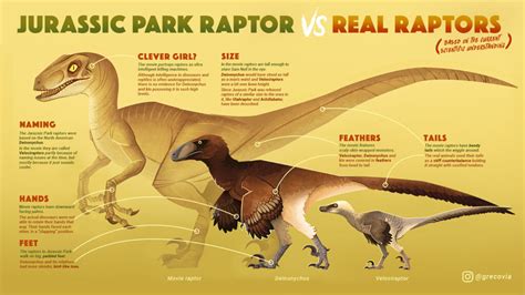 raptor facts