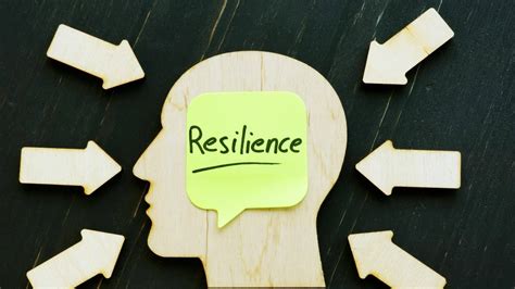 Resilience and Adaptability