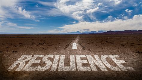 Resilience and Adversity