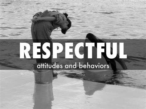 Respectful Attitude