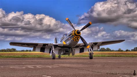 Restoring the P-51 Mustang