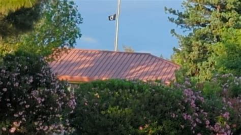 Reveille Detail at Travis AFB