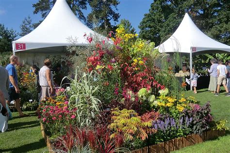 RHS Flower Shows