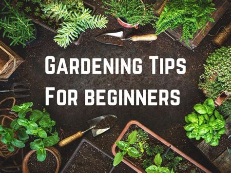 RHS Gardening Tips