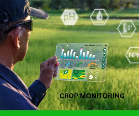 Rice Crop Monitoring