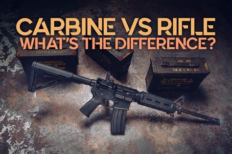 Rifle vs Carbine Gallery Image 6