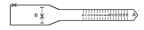 Ring Sizing Methods Image