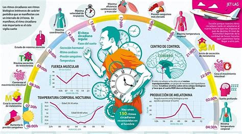 Imágenes del ritmo circadiano