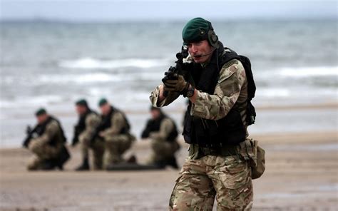 Royal Marines in Action