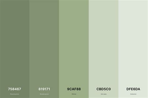 Sage green color