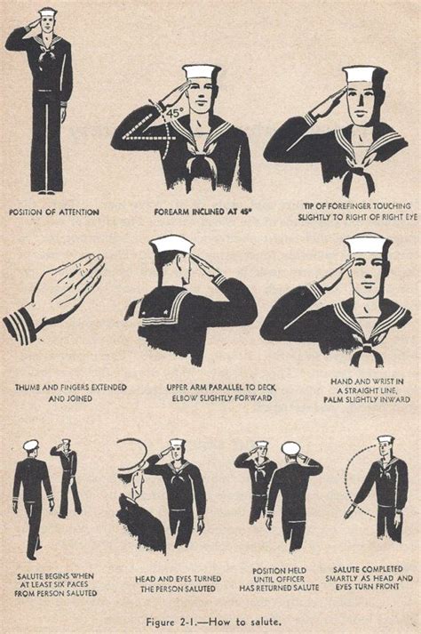 An illustration of different types of military salutes