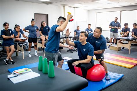 Physical therapists working in school settings