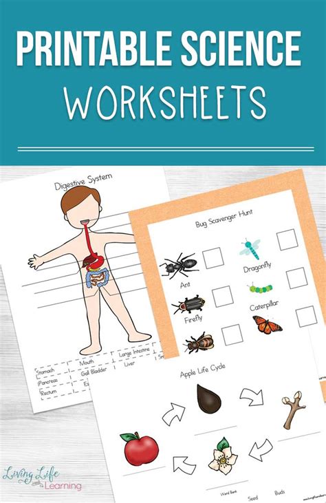 Science Worksheets for Kids