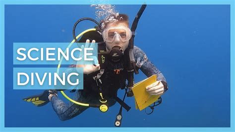 Scientific Research Diving