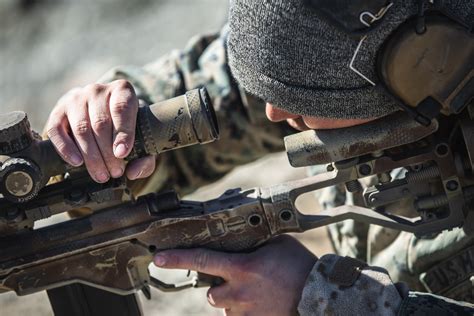 Scout Sniper Training Courses