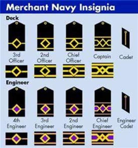 Types of seamen