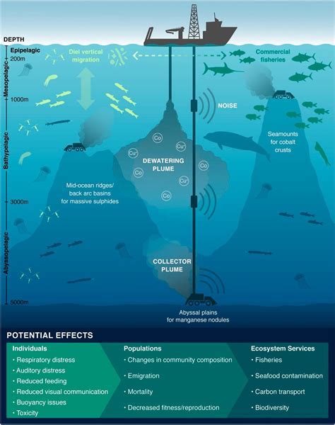 Environmental impact of sea mines