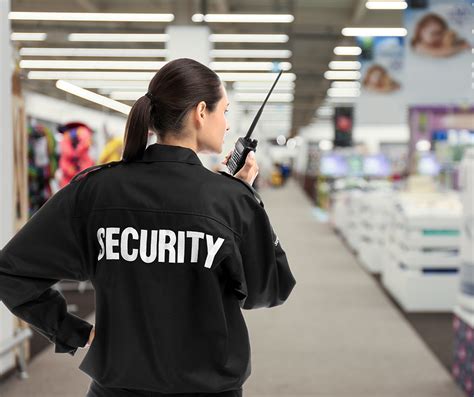 Security Officer Role