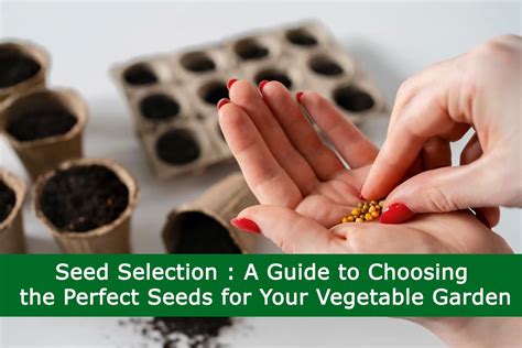 Seed Selection