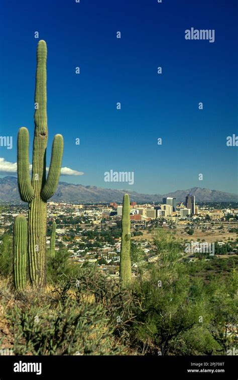 Sentinel Peak Tucson Arizona