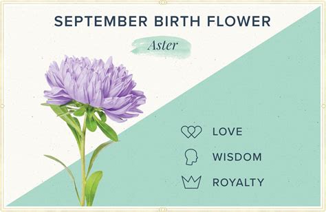 September birth flower tattoo ideas