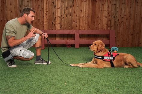 Service dog trainer training a team